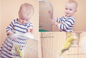 Baby Photography Staffordshire