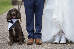 pet wedding photographer Staffordshire